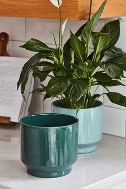 Mia Forest Green Planter H14cm D14cm &pound;12.99, Mia Acqua Green Planter H14cm D14cm &pound;12.99