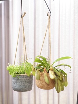 ODDA HANGING NATURAL WOVEN LINED PLANTER H17CM D19CM &pound;17.49 & ODDA HANGING GREY WOVEN LINED PLANTER H17CM D19CM &pound;17.49