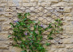 OUTDOOR HONEYCOMB TRELLIS H84CM W62CM