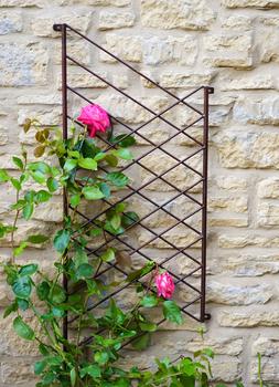 OUTDOOR LINEAR TRELLIS BRONZE H100CM W48CM