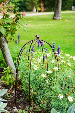 OUTDOOR PLANT SUPPORT BRONZE H60CM W36CM