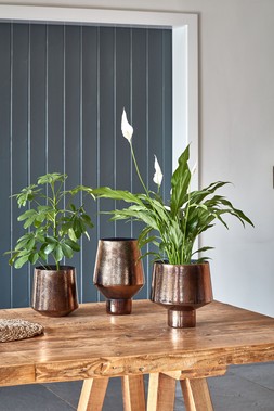 Opulent Tall Curved Metallic Bronze Vase H25cm W16cm &pound;39.99