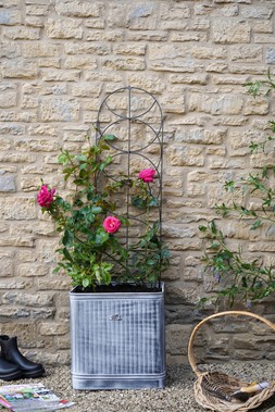 OUTDOOR CYLINDER TRELLIS ZINC &pound;59.99