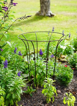 OUTDOOR FLUTED CLIMBER BRONZE &pound;44.99