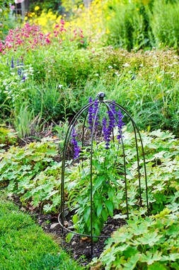 OUTDOOR PLANT SUPPORT ZINC &pound;44.99