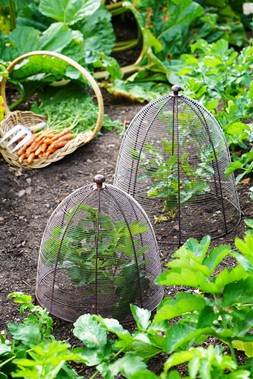 OUTDOOR WIRED PLANT PROTECTOR BRONZE H48CM W36CM