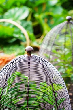 OUTDOOR WIRED PLANT PROTECTOR BRONZE H55CM W47CM