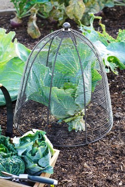 OUTDOOR WIRED PLANT PROTECTOR ZINC H48CM W36CM