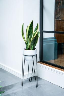 Pianta Stand In Black H35cm D19cm &pound;16.99
