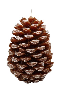 PINECONE CANDLE BROWN £9.99