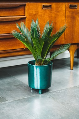 Pisa Emerald Planter H24cm D20cm &pound;39.99
