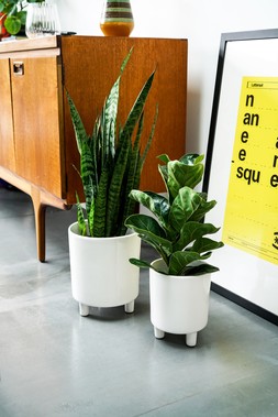 Pisa White Planter H19cm D16cm &pound;29.99