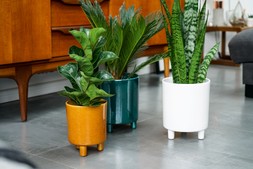 Pisa White Planter H24cm D20cm &pound;39.99 2