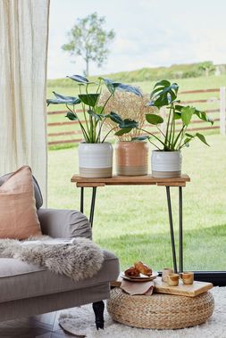PURO LIPPED GLOSS WHITE RIPPLE PLANTER