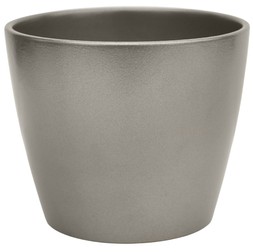 Poinsettia Planter Silver H10cm D12cm £3.99