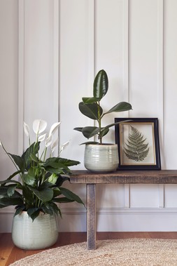 POT COMO MINT H12CM D14CM &pound;9.99 & POT COMO MINT H14CM D15CM &pound;12.99