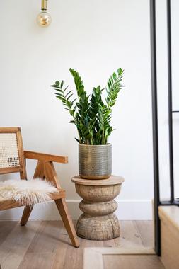 Solis Embossed Planter Gold H18cm D18cm &pound;29.99 2