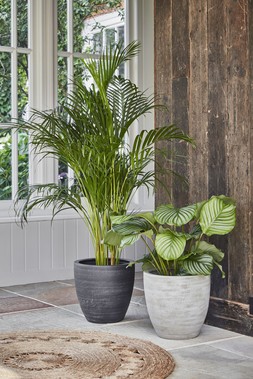 Toulouse Anthracite Planter H31cm D33cm &pound;59.99