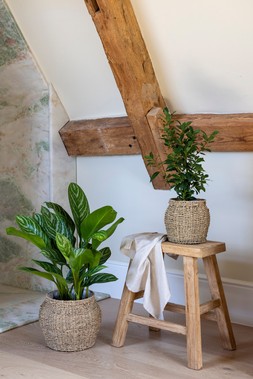 TULA TAPERED SEAGRASS PLANTER SET OF 2 £37.98