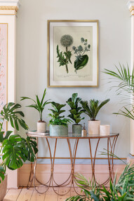 https://dc-42351dc5a6b3.prshots.es/contents/archives/3698/1568/images/thumb350x287_auto/ivyline-kew-stoneware-sago-palm-planters-in-ivory-olive-17.99-29_44fa2_thumb.jpg