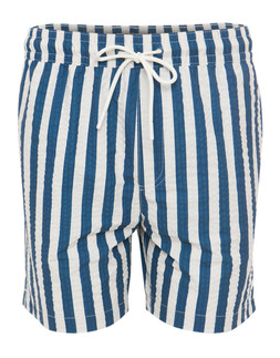 Blue Striped Seersucker Swim Shorts