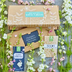 JULY BIRTH FLOWER GIFT BOX