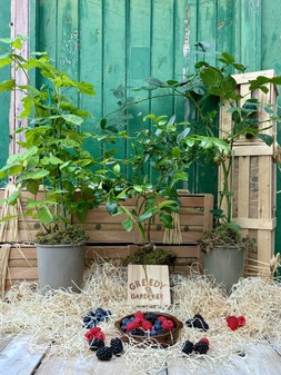 The Berry Breakfast Box