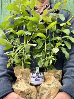 THE HONEYBERRY CRATE