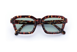 FINLAY DARK TORTOISE Lenses Seabreeze