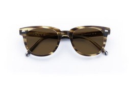 HOY OLIVE STRIPE Lenses Brown