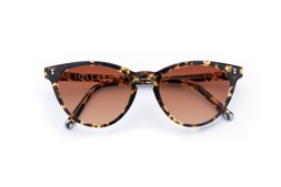 Muir Classic Tortoise Lenses Sienna Sunset £85