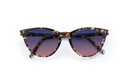 Muir Classic Tortoise Lenses Twilight Fade £85