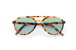 Nicol Caramel Tortoise Lenses Seabreeze £85