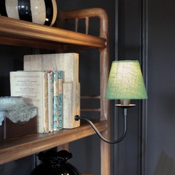 Wooden bookshelf lamp with green shade