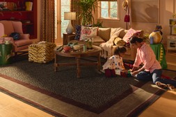 Panthera Tan & Rust Rug