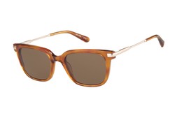 Barbour BAS-3108 Golden Ochre Tort Square Men's Sunglasses