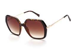 Radley Wandsworth Tortoise, Black & Gold Women's Sunglasses