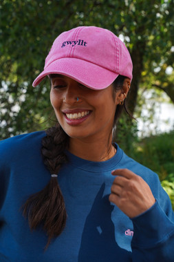Gwyllt Baseball Cap
