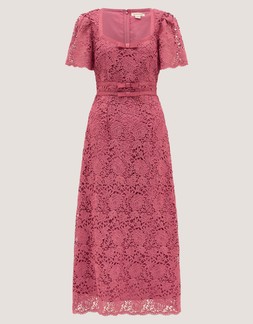 Regina Short Sleeve Lace Midi Dress Pink