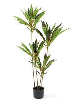 Very Home 120cm Real Touch Red Faux Dracaena In Plastic Pot £60