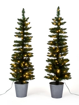 WI16N The Very Collection Outdoor Duo Trees £80