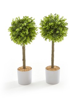 WRF17 The Very Collection Set Of 2 60cm Tall Golden Coin Topiary Ball Potted Trees - Outdoor:Indoor £59.99