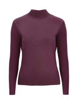 Tu Plum Modal Rib Roll-Neck Top £10