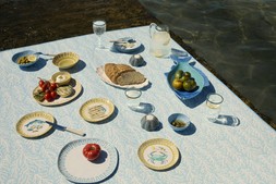 M&S COASTAL PICNIC BLANKET £14 / M&S MELAMINE FISH PLATTER £12 / M&S SET OF FOUR COASTAL MELAMINE SIDE PLATES £14 / M&S SET OF FOUR COASTAL MELAMINE BOWLS £14 / M&S SET OF FOUR COASTAL MELAMINE DINNER PLATE £16 / M&S SET OF FOUR CONTRAST RIM WINE GLASSES £14 / M&S CONTRAST RIM PICNIC JUG £14 / M&S SET OF FOUR CONTRAST RIM TUMBLERS £14 / M&S SET OF FOUR CONTRAST RIM HI BALLS £14​