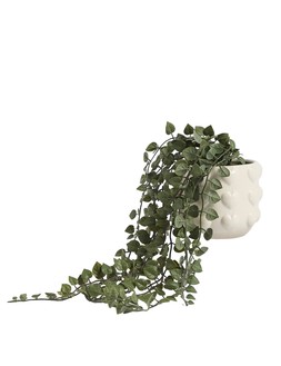 M&S Artificial String of Hearts in Ceramic Pot £12.50