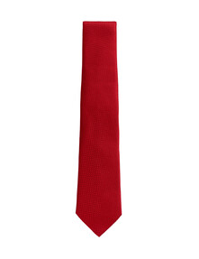 https://dc-42351dc5a6b3.prshots.es/contents/archives/98/201/images/thumb350x287_auto/marks_amp_spencer_ms-sartorial-textured-pure-silk-tie-red-20.jp__a0060_thumb.jpg